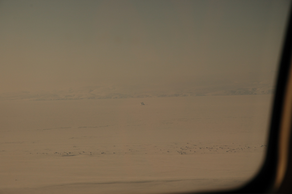 DSC_0488.JPG