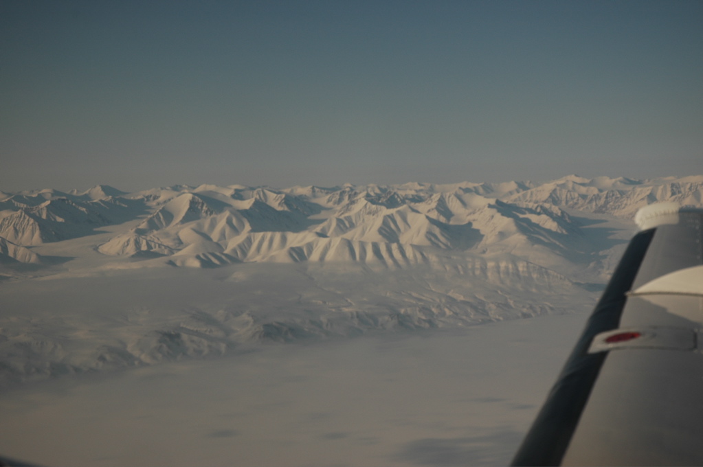 DSC_0503.JPG