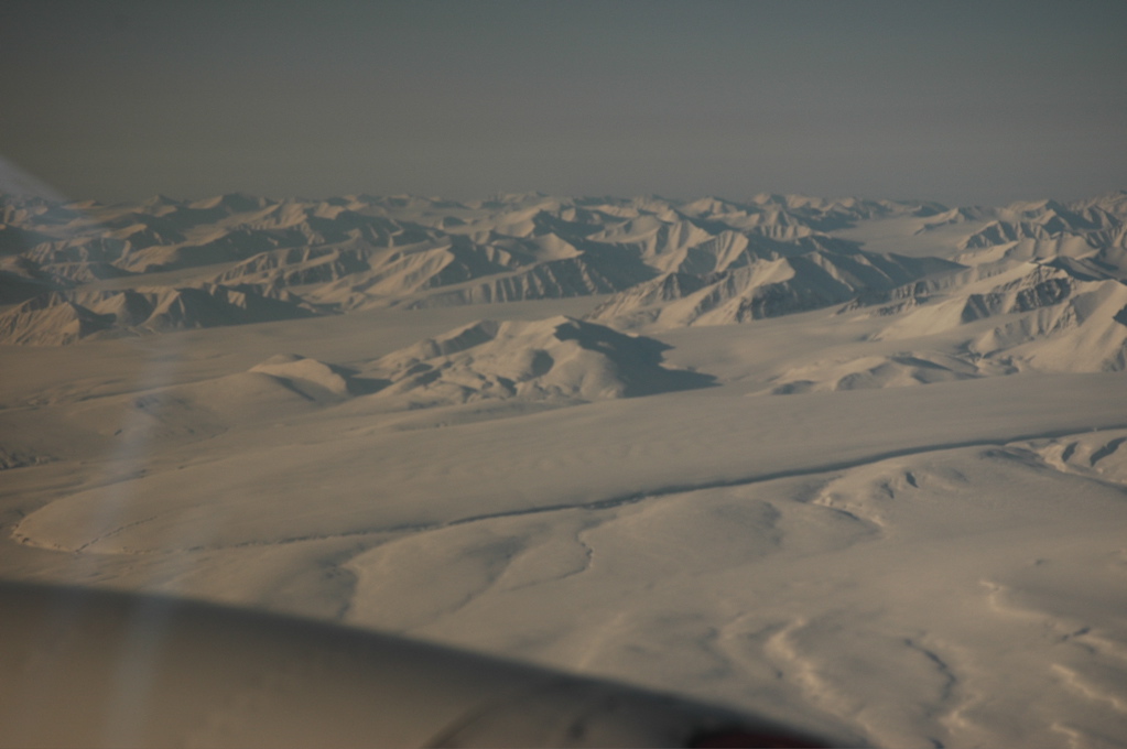 DSC_0504.JPG