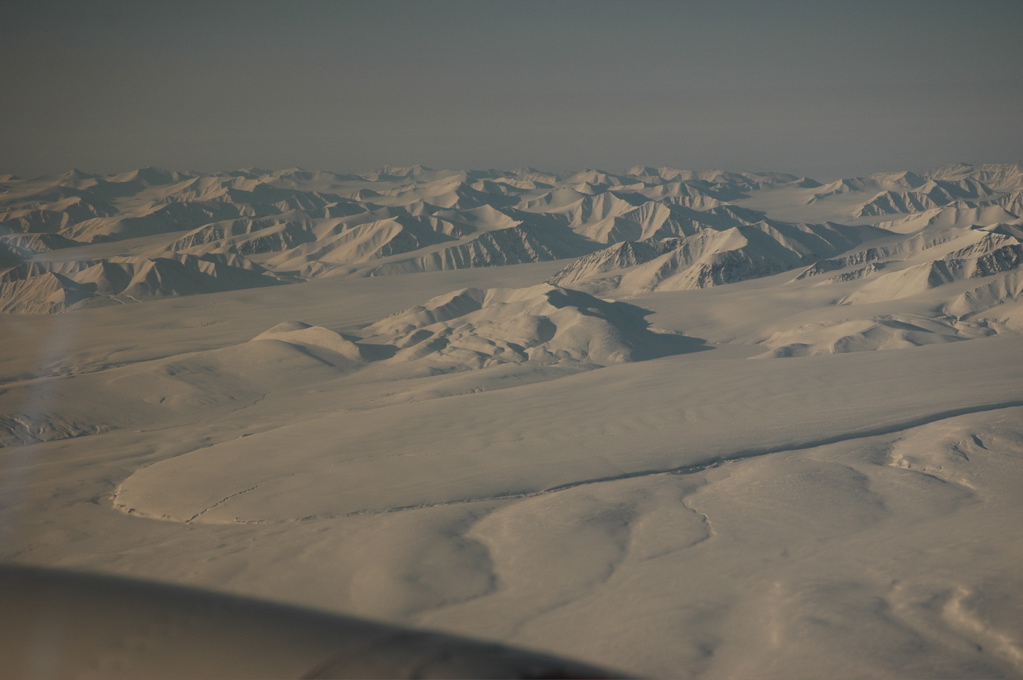 DSC_0505.JPG