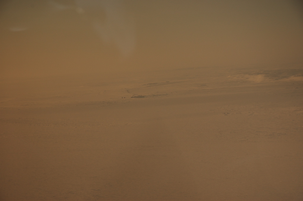 DSC_0510.JPG