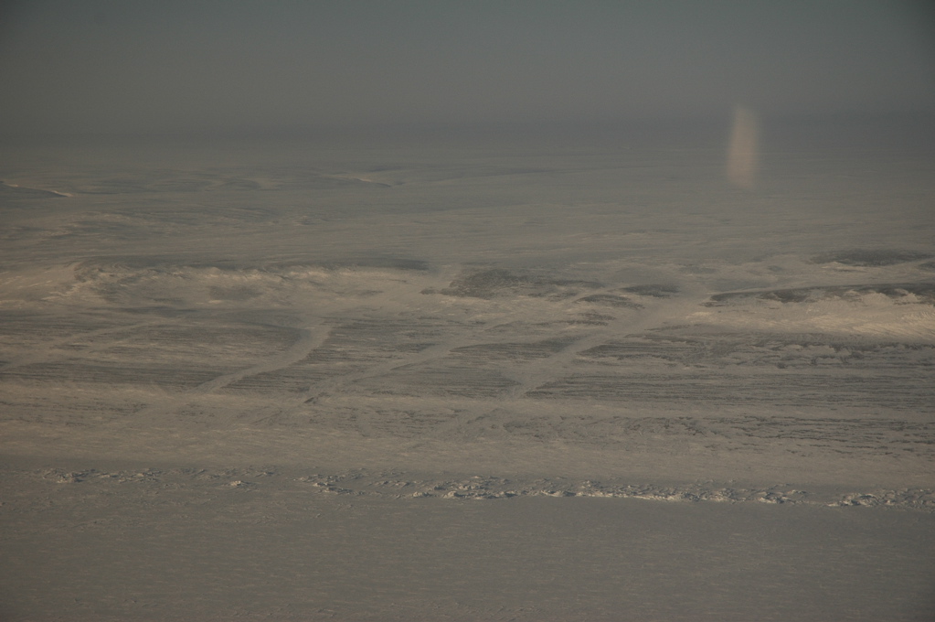 DSC_0511.JPG