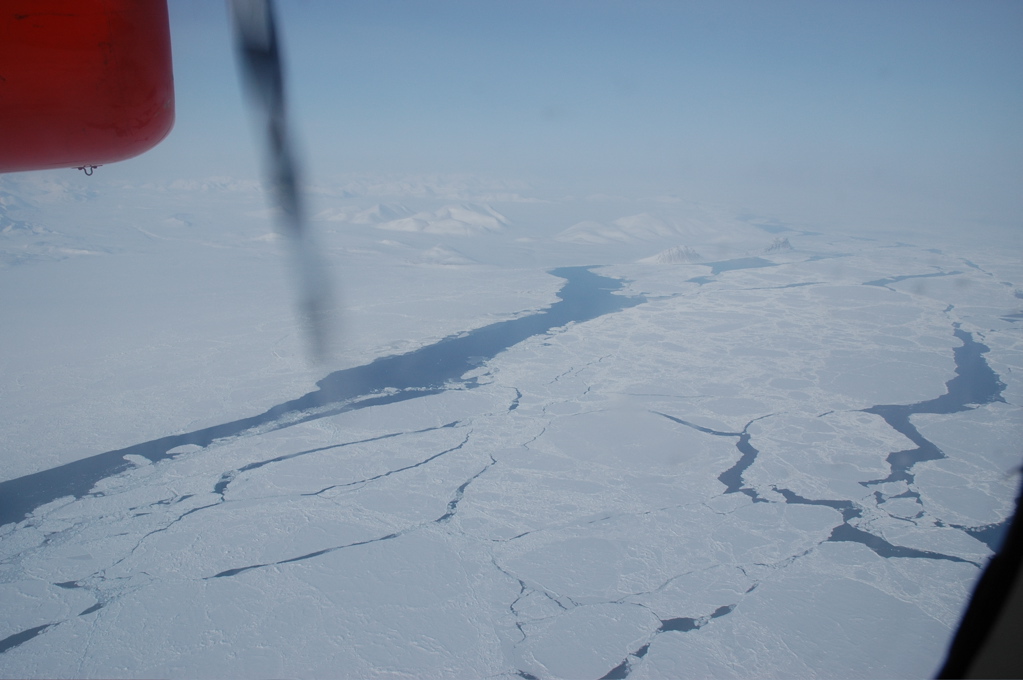 DSC_0523.JPG