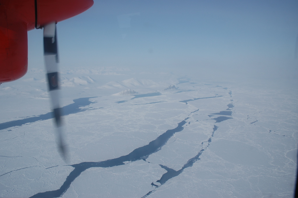 DSC_0524.JPG