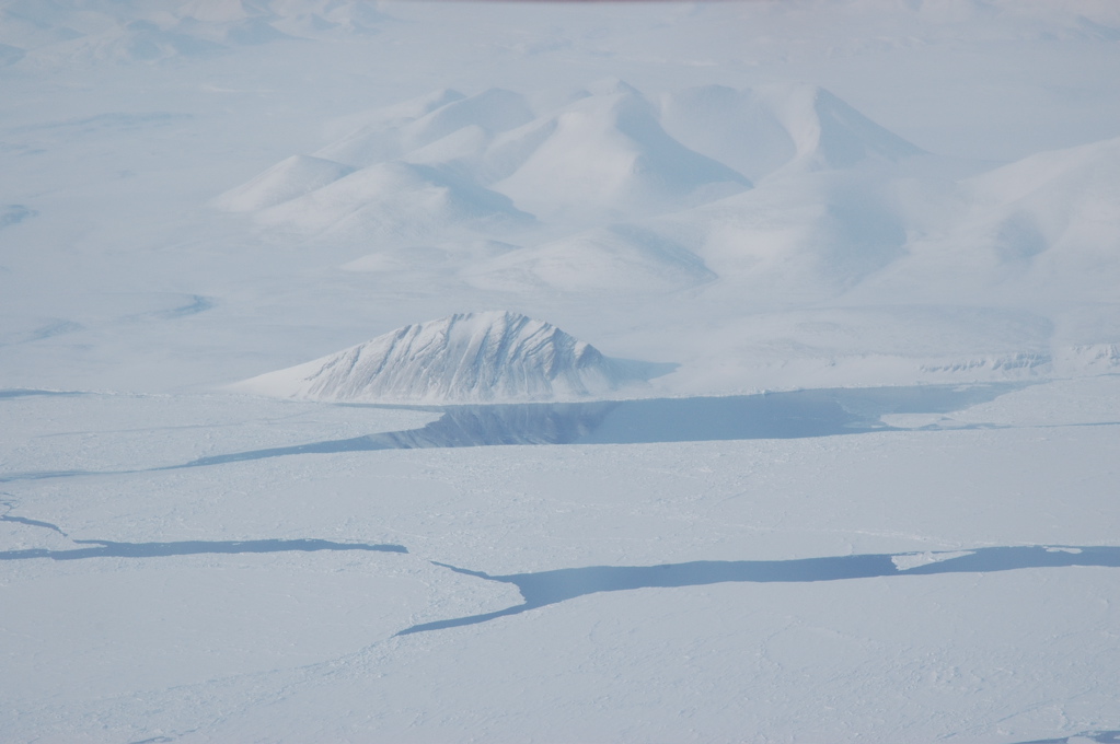 DSC_0526.JPG