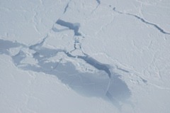 DSC_0533.JPG