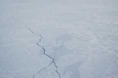 DSC_0535.JPG