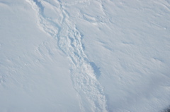 DSC_0537.JPG