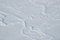 DSC_0538.JPG