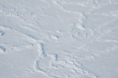 DSC_0539.JPG