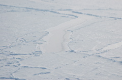 DSC_0542.JPG