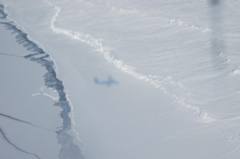 DSC_0543.JPG
