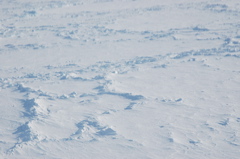 DSC_0545.JPG