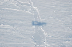 DSC_0546.JPG