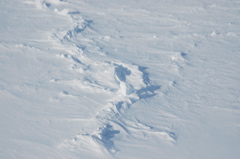DSC_0549.JPG