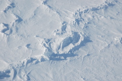 DSC_0550.JPG