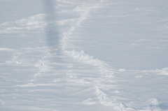 DSC_0551.JPG