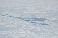 DSC_0552.JPG