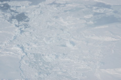 DSC_0553.JPG