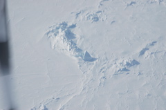 DSC_0554.JPG