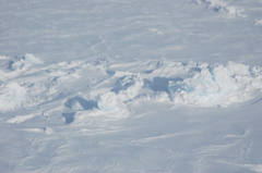 DSC_0555.JPG
