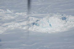 DSC_0556.JPG