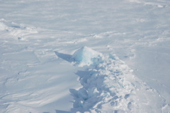 DSC_0557.JPG