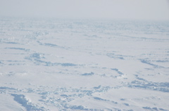 DSC_0559.JPG