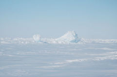 DSC_0569.JPG