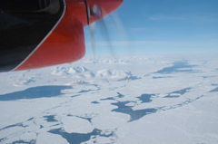 DSC_0587.JPG