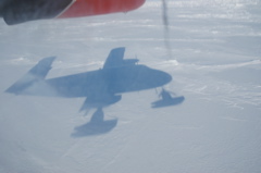 DSC_0600.JPG