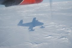 DSC_0602.JPG