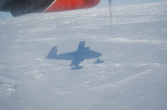 DSC_0603.JPG