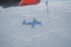 DSC_0604.JPG
