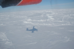 DSC_0605.JPG