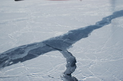 DSC_0608.JPG