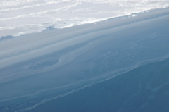 DSC_0613.JPG