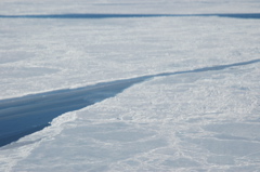 DSC_0614.JPG
