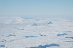 DSC_0621.JPG