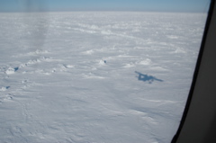 DSC_0631.JPG