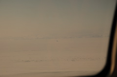 DSC_0488.JPG