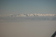 DSC_0501.JPG