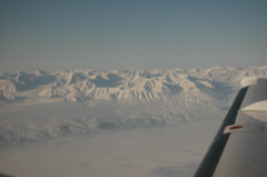 DSC_0503.JPG