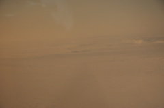 DSC_0510.JPG