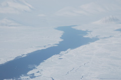 DSC_0521.JPG