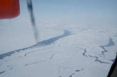 DSC_0523.JPG