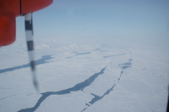 DSC_0524.JPG