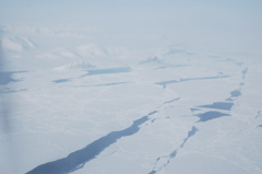 DSC_0525.JPG