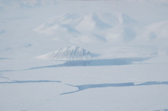 DSC_0526.JPG