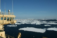 Sea Ice